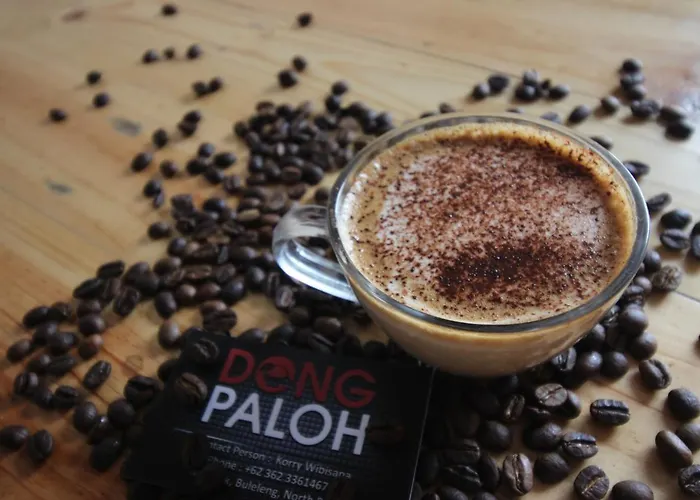 Dong Paloh *